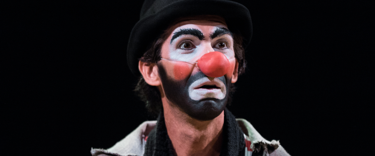 Non Sei Un Clown Sei L'intero Circo