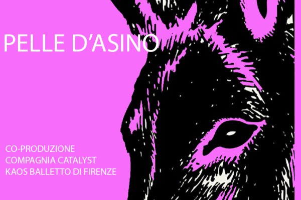 pelle d'asino immagine web