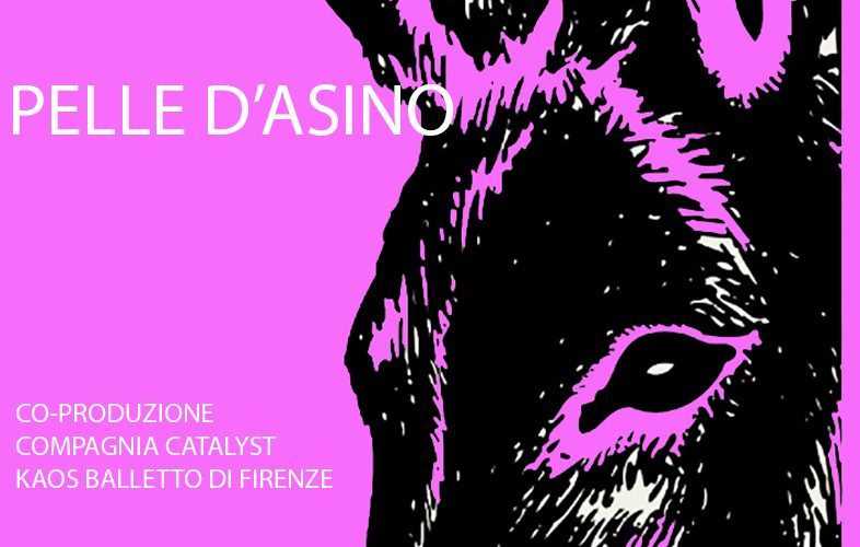pelle d'asino immagine web